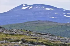 Shrubs and soils: A hot topic in the cool tundra