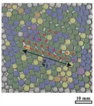 Shuffling bubbles reveal how liquid foams evolve