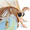 Silk moths antenna inspires new nanotech tool with applications in Alzheimers research