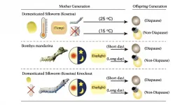 Silk moths diapause reverts back to ancestors through gene editing!?