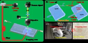 Single-beam optical trap-based surface-enhanced raman scattering optofluidic molecular fingerprint spectroscopy detection system