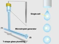 Single-cell elemental analysis using Inductively Coupled Plasma Mass Spectrometry (ICP-MS)