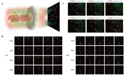 Single metasurface for simultaneous detection of SAM and OAM