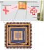 Single-pixel multiplex captures elusive terahertz images