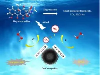 Singlet oxygen selectively degrades oxytetracycline in fenton-like oxidation