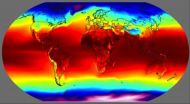 Size and age of plants impact their productivity more than climate, study shows 3