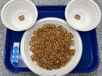 Size of salty snack influences eating behavior that determines amount consumed
