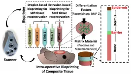 Skin and bones repaired by bioprinting during surgery