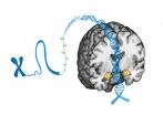 Small DNA modifications predict brains threat response