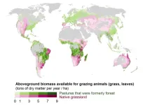 Small reductions to meat production in wealthier countries may help fight climate change, new analysis concludes