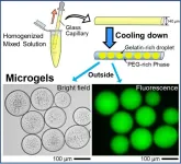 Smart yet simple – creating uniform DNA-encapsulating microgels that mimic a living cell