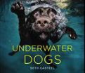 Smile - You're on Canine (Underwater) Camera! Seth Casteel Underwater DOGS Coming to Denver! 2