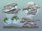 Smithsonian scientists discover that multiple species of seacows once coexisted
