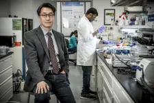 SMU Lyle nanorobotics professor awarded prestigious research grant to make gene therapy safer