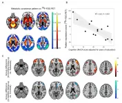 SNMMI Image of the Year: PET imaging measures cognitive impairment in COVID-19 patients