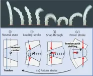 SNU researchers apply the principles of mantis shrimp and fleas to create soft robots with powerful movements