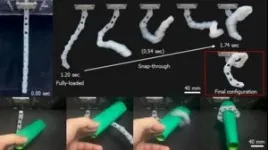 SNU researchers apply the principles of mantis shrimp and fleas to create soft robots with powerful movements 2