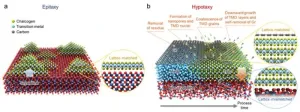 SNU researchers develop a new synthesis technology of single crystal 2D semiconductors, “Hypotaxy,” to enhance the commercialization of next-generation 2D semiconductors