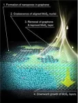 SNU researchers develop a new synthesis technology of single crystal 2D semiconductors, “Hypotaxy,” to enhance the commercialization of next-generation 2D semiconductors 2