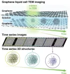 SNU researchers develop world’s first technology to observe atomic structural changes of nanoparticles in 3D