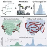 Social distancing was more effective at preventing local COVID-19 transmission than international border closures