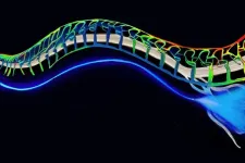 Soft optical fibers block pain while moving and stretching with the body