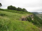 Soil microbes shift as shrubs invade remnant hill prairies