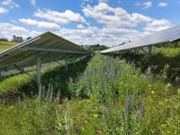 Solar farms with stormwater controls mitigate runoff, erosion, study finds