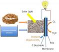 Solar-induced hybrid fuel cell produces electricity directly from biomass 3