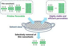 Solvent sieve method sets new record for perovskite light-emitting diodes