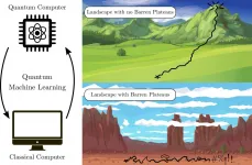 Solving barren plateaus is the key to quantum machine learning