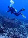 Some coral species might be more resilient to climate change than previously thought