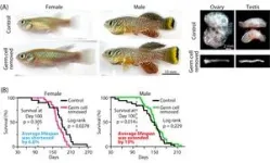 Some honeybees learn tasks better than others, and gene expression patterns in their brains may be associated with this difference in ability 2