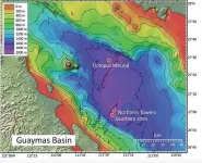 Some seafloor microbes can take the heat: And heres what they eat