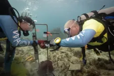 Sonic youth: Healthy reef sounds increase coral settlement