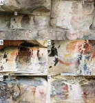 South African rock art possibly inspired by long-extinct species 2