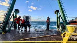 South Florida’s nearshore reefs less vulnerable to ocean acidification, study finds