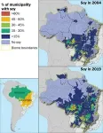 Soy expansion in Brazil linked to increase in childhood leukemia deaths 2