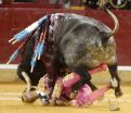 Spanish Bullfighting Season Ends with Blinded Matador