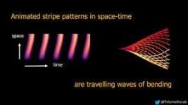 Sperm swimming is caused by the same patterns that are believed to dictate zebra stripes 3