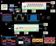 Spin-controlled generation of a complete polarization set with randomly-interleaved plasmonic metasurfaces 3