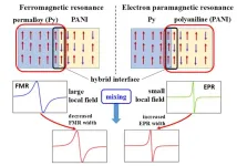 Spin current observations from organic semiconductor side