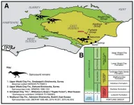 Spinosaur Britain: Multiple different species likely roamed Cretaceous Britain