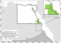 Spotted hyena found in Egypt for the first time in 5,000 years 2