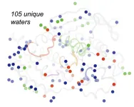 Spying on a shape-shifting protein