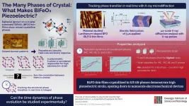 Squeeze the shock out: What different phases of piezoelectric materials tell us