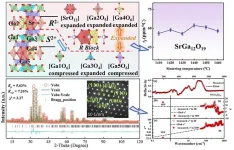 SrGa12O19: The first low-εr Ga-based microwave dielectric ceramic with anomalous positive τf