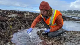 Stanford: forecasting coastal water quality