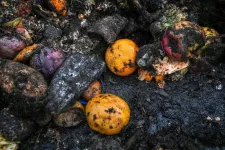 States struggle to curb food waste despite policies