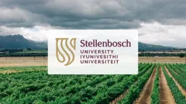 Stellenbosch University selects Symplectic Elements to support and streamline research outputs submissions to the DHET